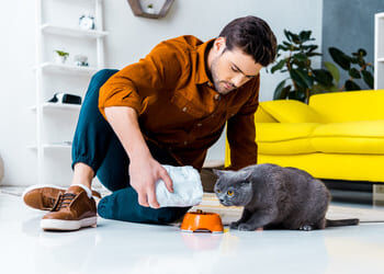 Comment faire le bon choix de service de