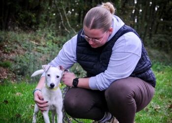Russite lve - Soigneur animalier