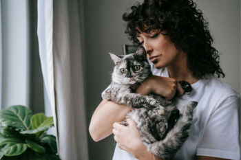 Quel chat est fait pour moi ? Dcouvrez