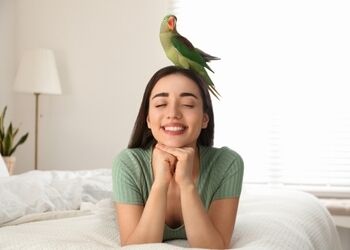 Devenir pet-sitter : entre service � la