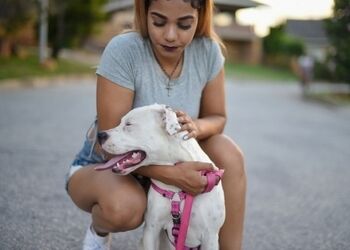 Devenir dog-sitter : un m&eacute;tier centr&eacute;