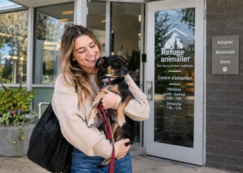 Guide pour adopter un chien en refuge :