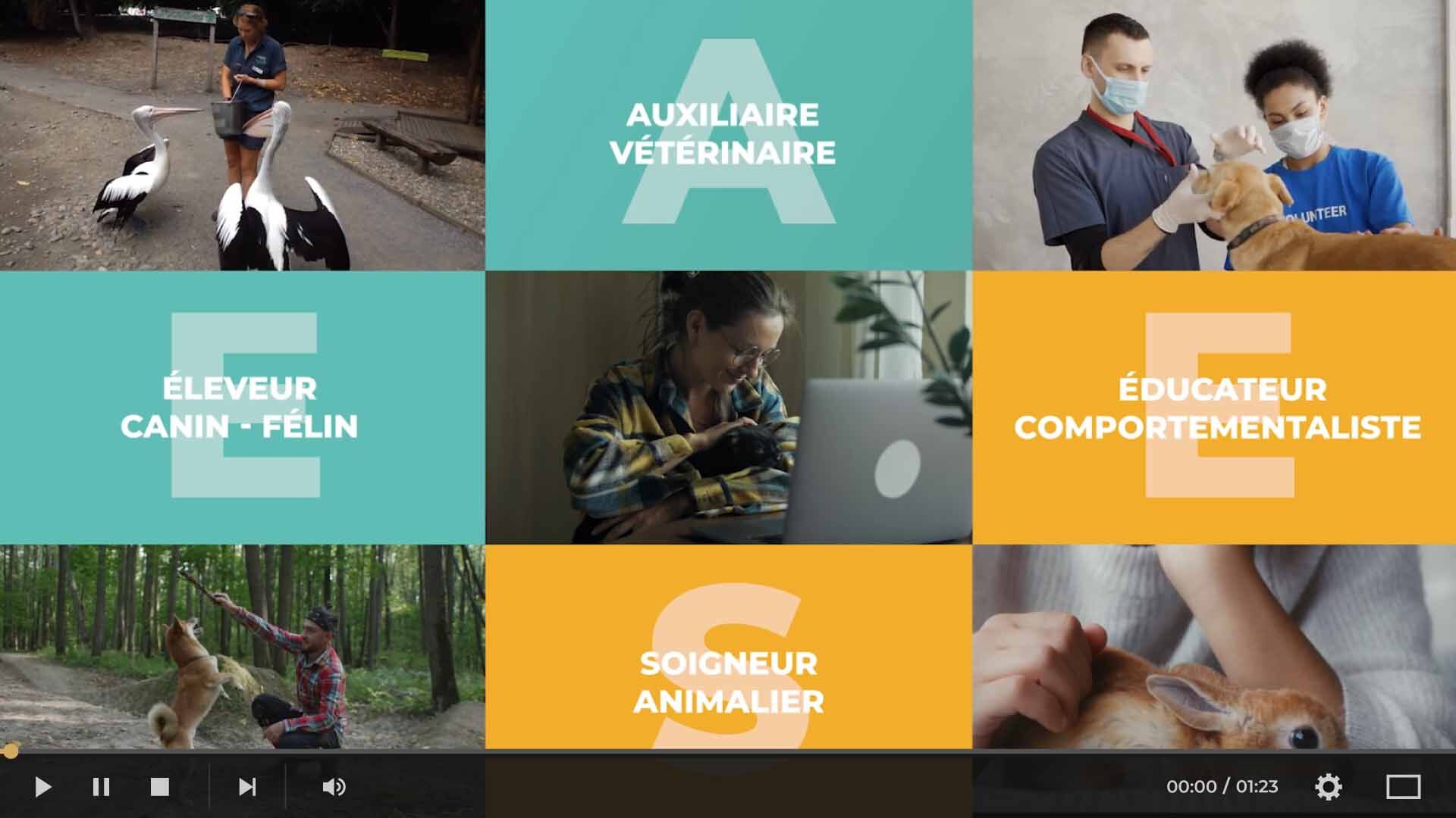 Prsentation de l'cole en vido