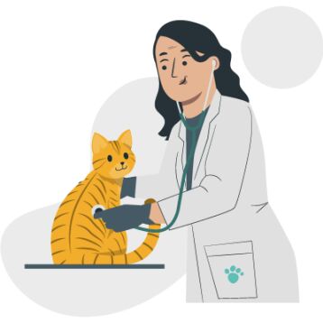 FAQ rponse
