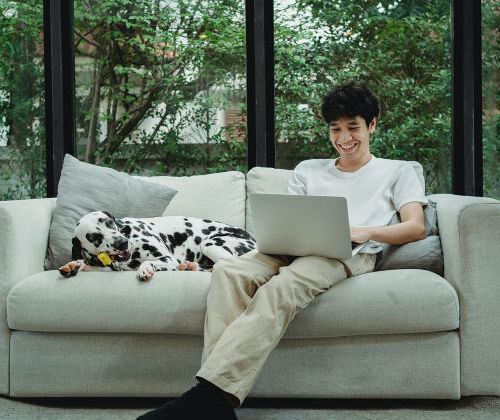 Programme de la formation Auxiliaire V�t�rinaire