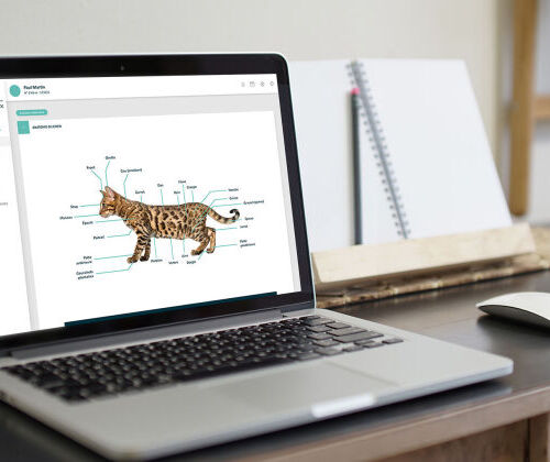 Supports P�dagogiques de la formation Assistant V�t�rinaire