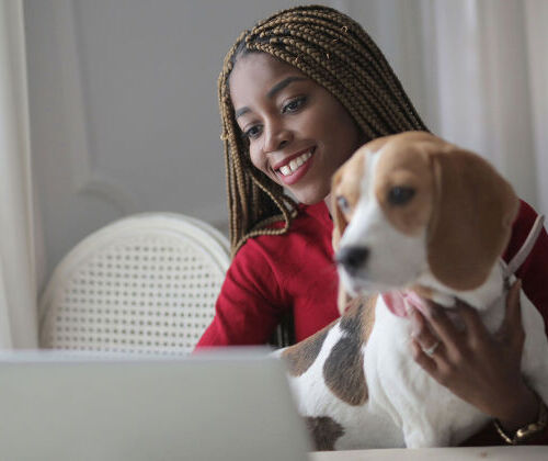 Programme de la formation d'�leveur Canin F�lin