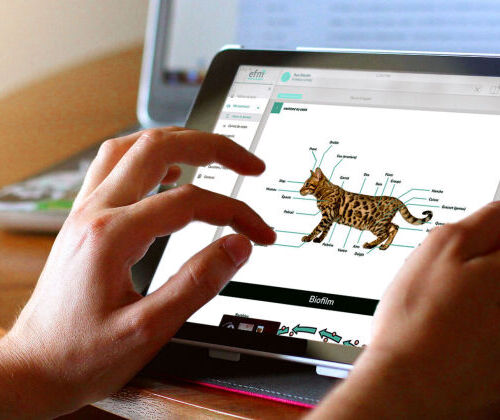 Formation �leveur Canin F�lin : Supports P�dagogiques