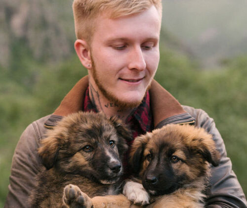 D�bouch�s de notre formation �leveur Canin F�lin