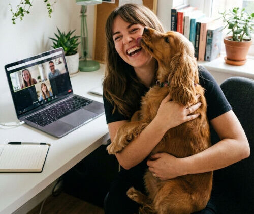 Programme de la formation ACACED