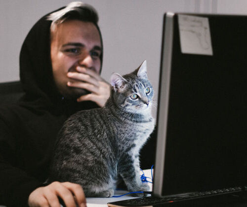 Programme de la formation �ducateur Comportementaliste 