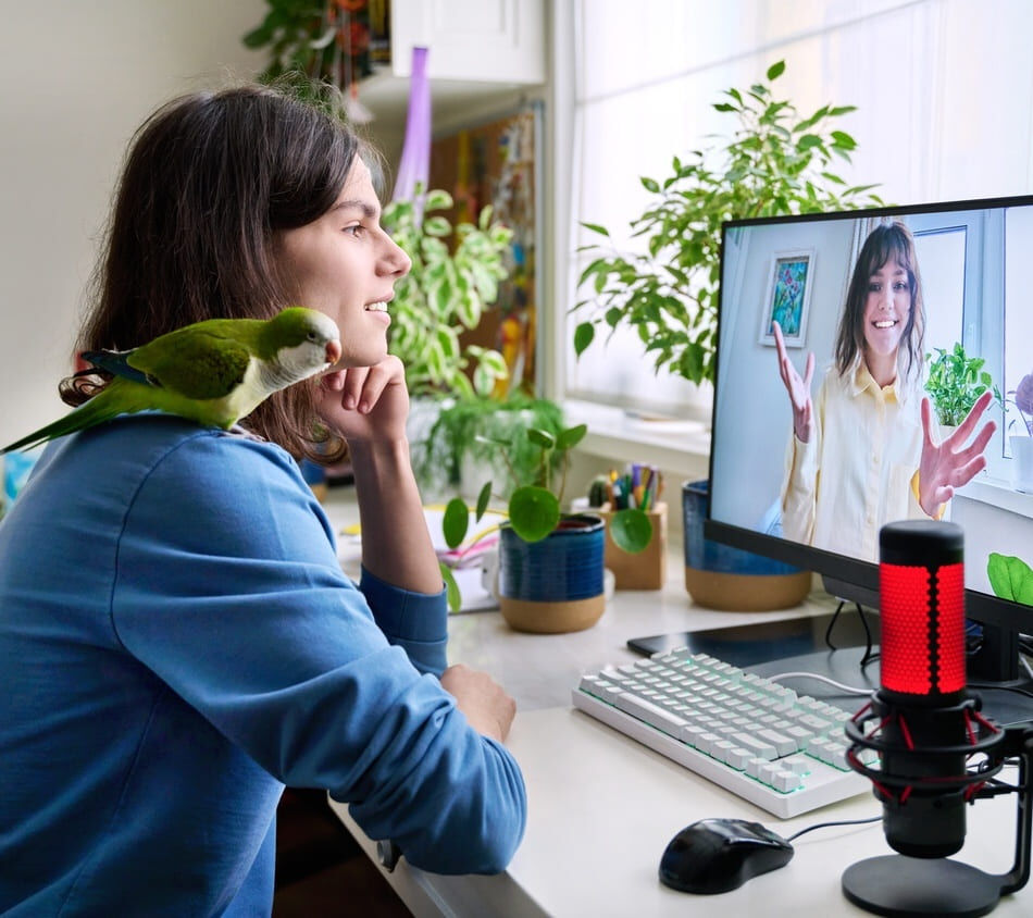 Mise � jour du CCAD