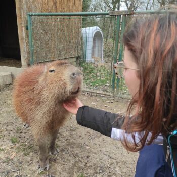 realisation de Lucie COURBIS