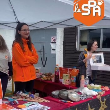 realisation de Alexandra SAUBABER