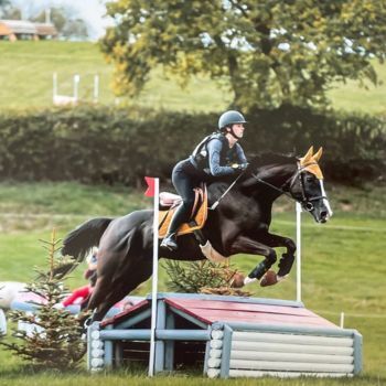 realisation de Alice LADOUCE