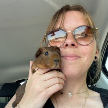 realisation de Alice LADOUCE