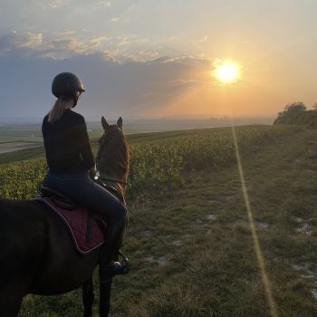 realisation de Alice LADOUCE