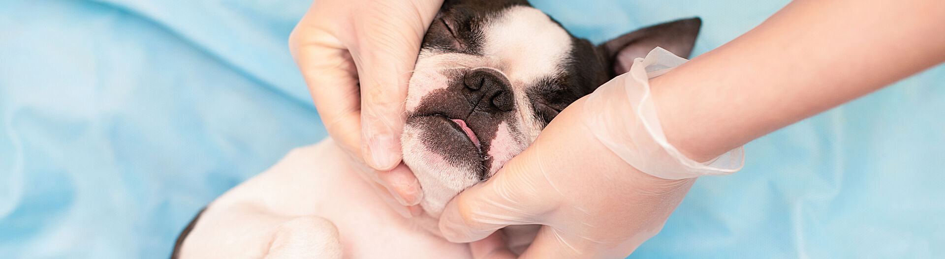 Phase 2 : Approfondir vos connaissances