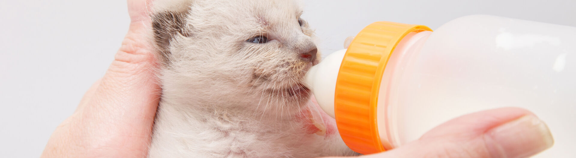 Phase 3 : Conna�tre les techniques de soin