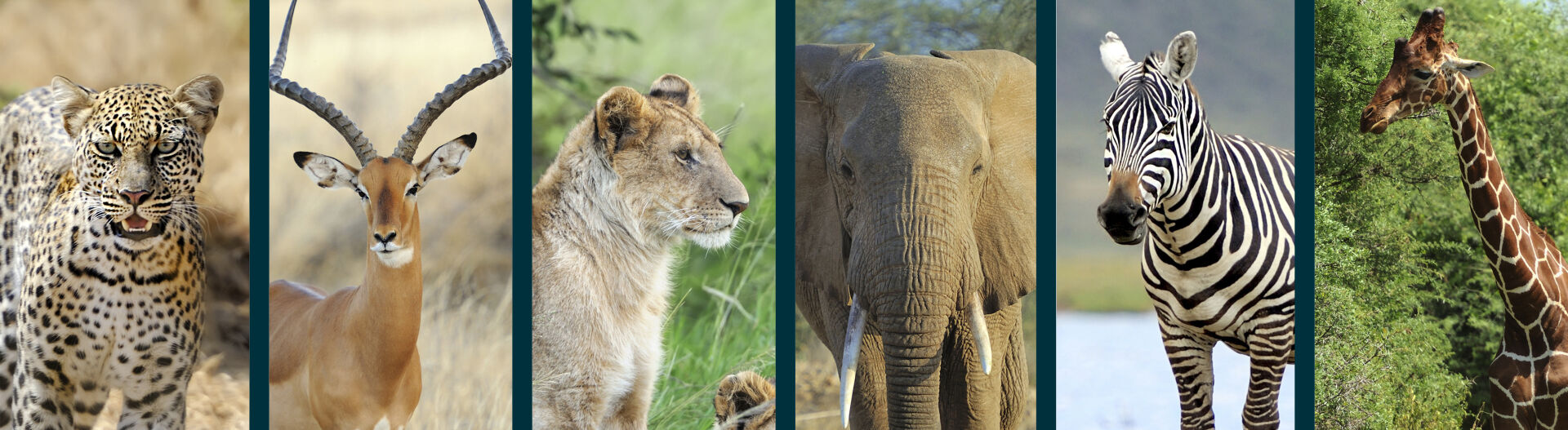 Phase 1 : D�couvrir le m�tier