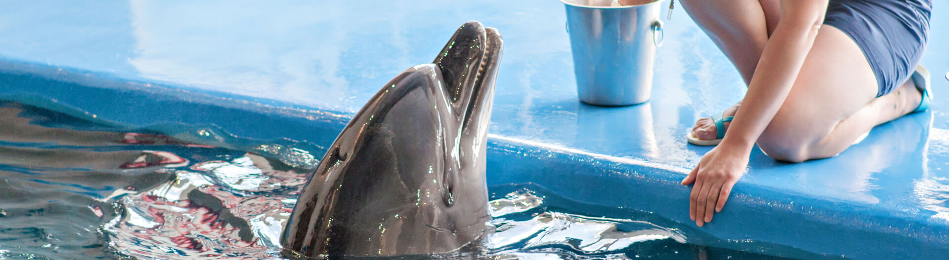 Phase 3 : Ma�triser les techniques de soin