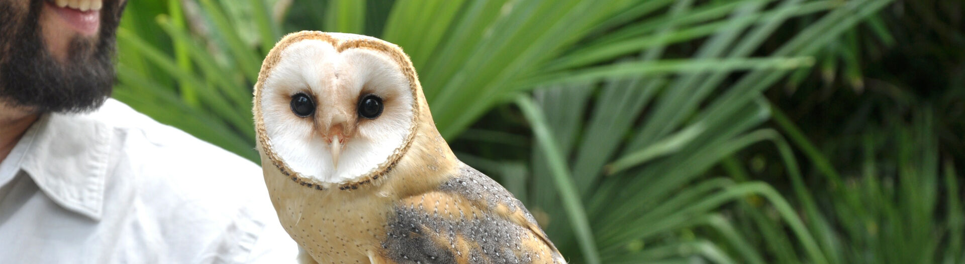 Phase 4 : Devenir Soigneur Animalier