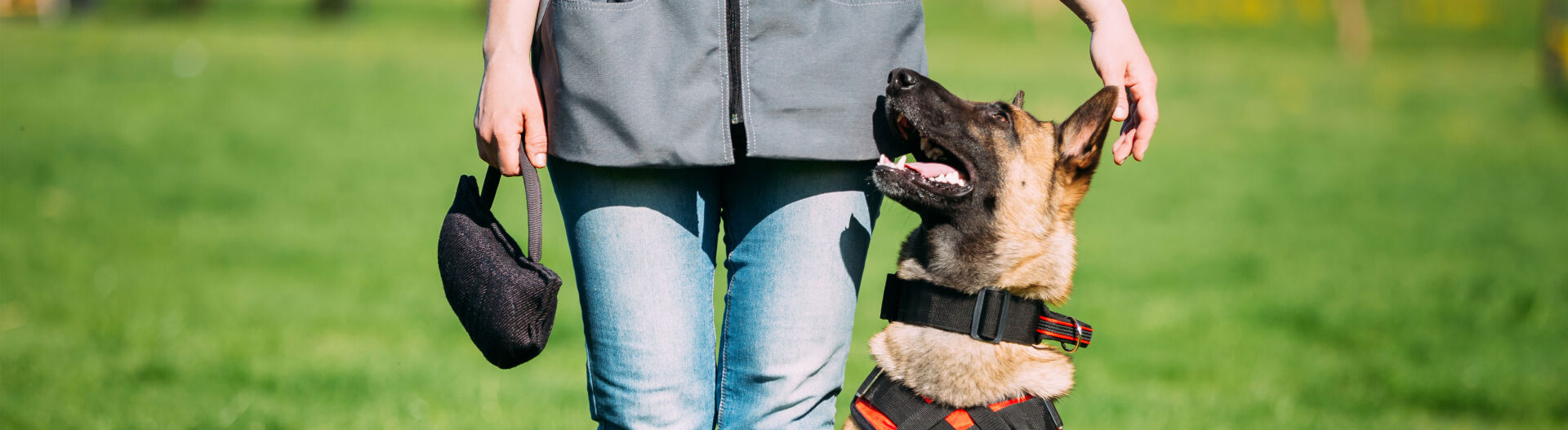 Phase 1 : D�couvrir le m�tier 