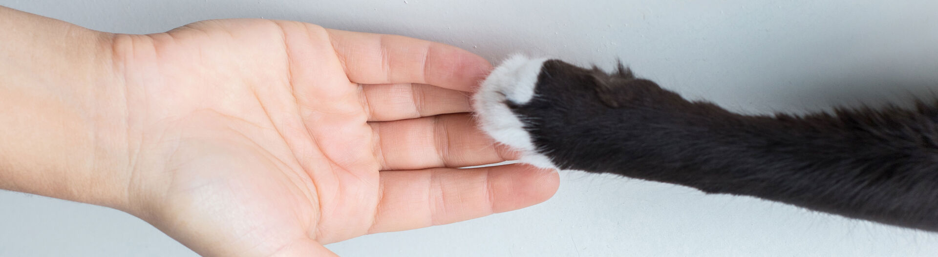 Phase 2 : Approfondir vos connaissances