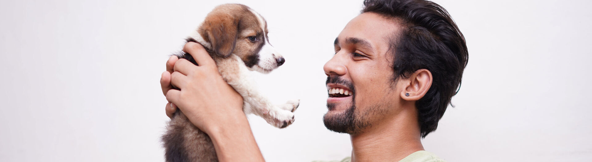 Phase 4 : Analyser et accompagner les animaux