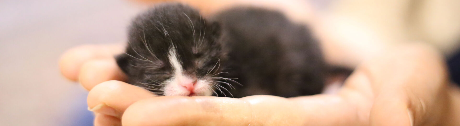 Phase 1 : D�couvrir le m�tier