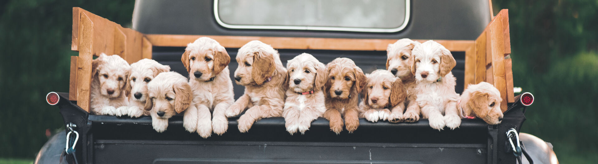 Phase 2 : Approfondir vos connaissances