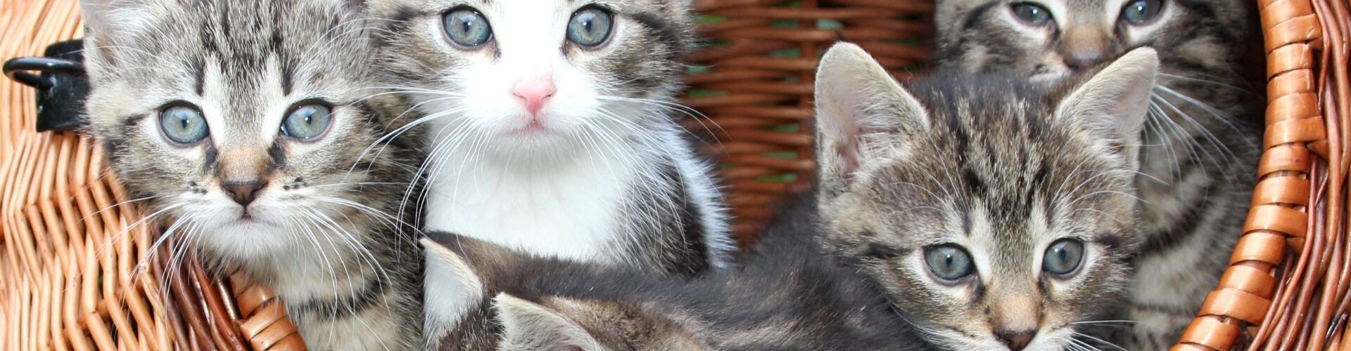 Les notions l�gales