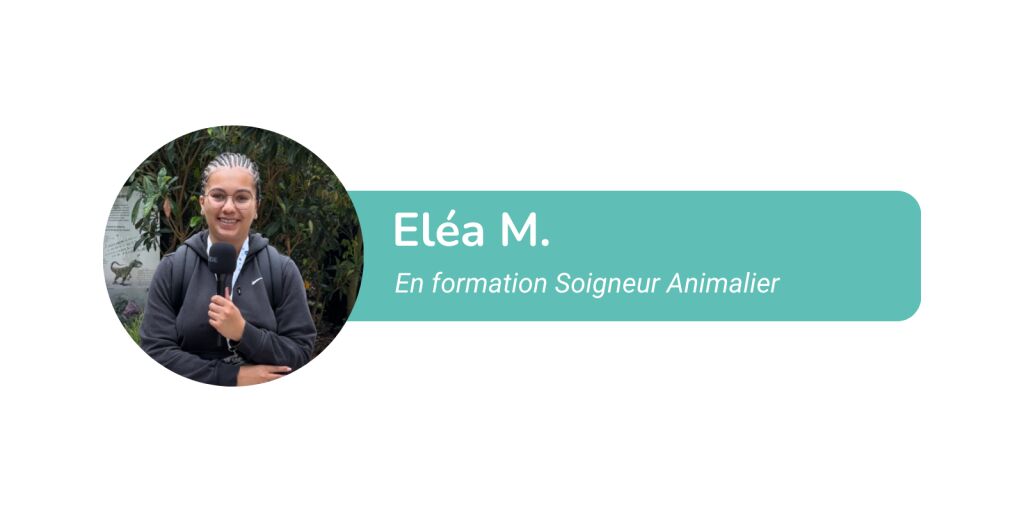 la lve soigneuse animalire