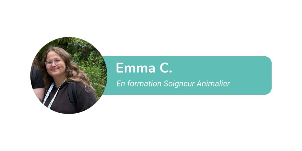 Emma lve soigneuse animalire
