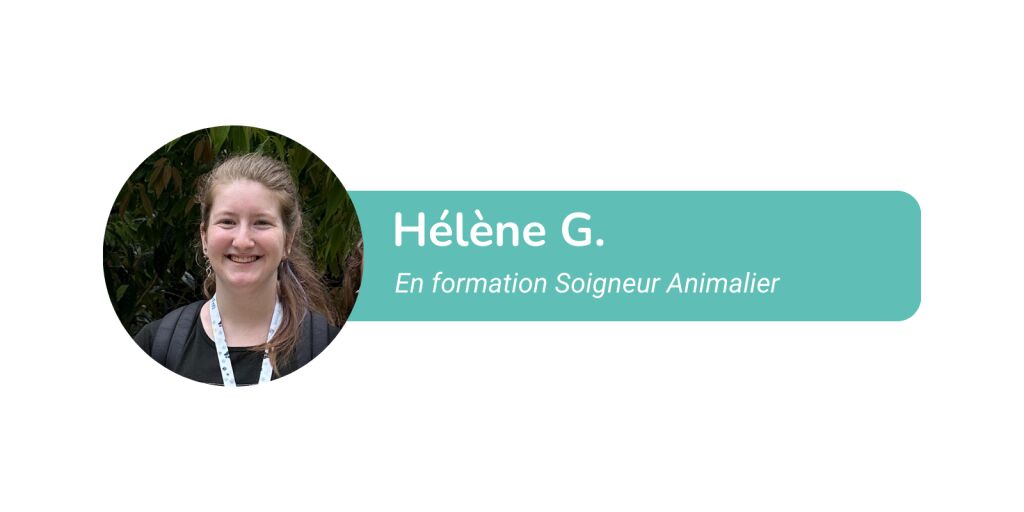 Hlne lve soigneuse animalire