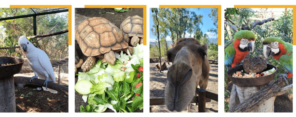 Photos d'animaux prises par Quentin