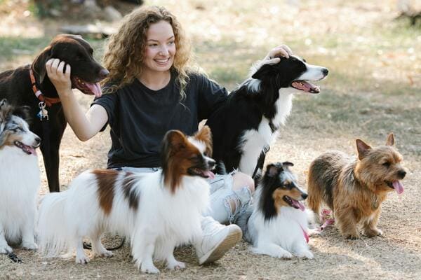 Comment devenir leveur canin ?