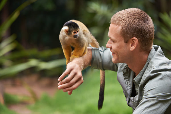 Travailler dans un zoo