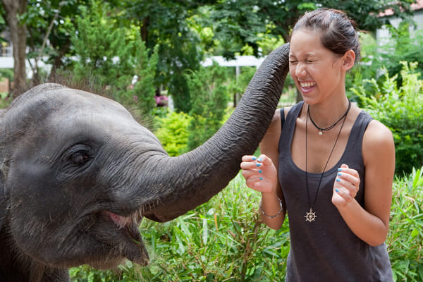 comment devenir soigneur animalier ?