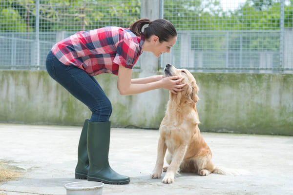 Comment aider les animaux ?