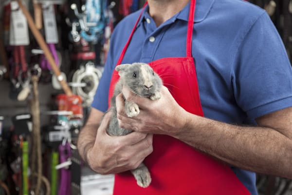 vendeur en animalerie
