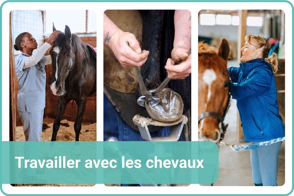 travailler avec les chevaux
