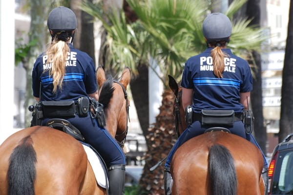 travail avec les chevaux