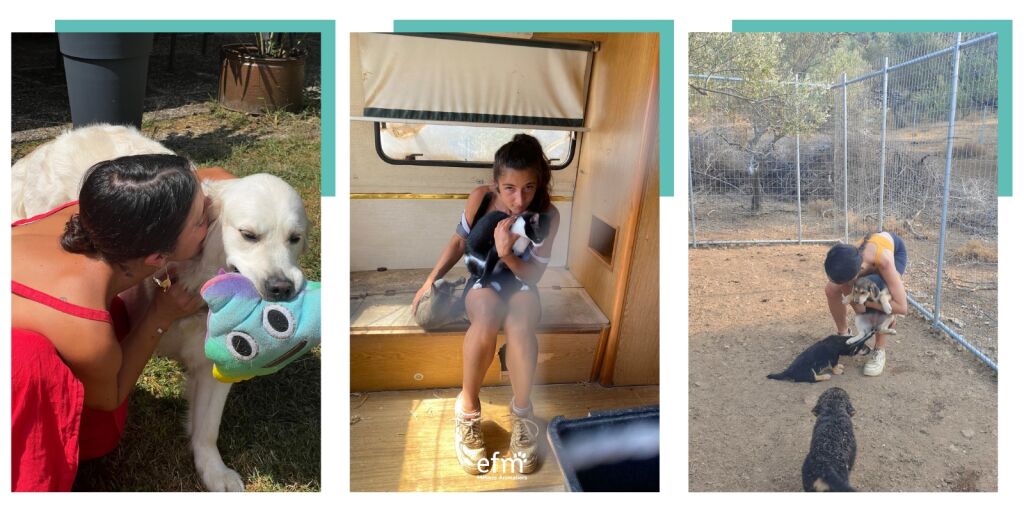 Formation ducateur canin flin