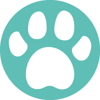 logo patte