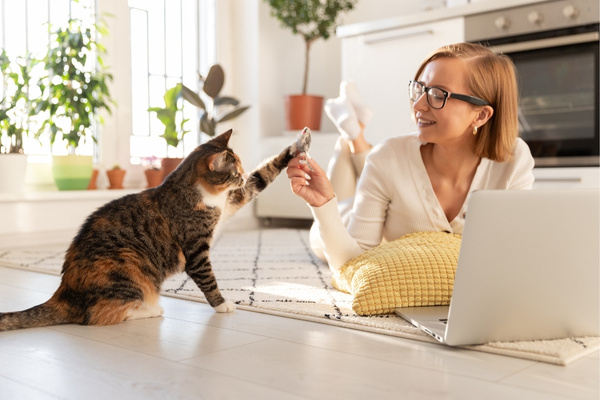 quel chat est fait pour moi