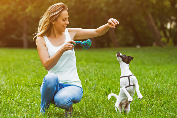 ducation canine et aide d'un comportementaliste