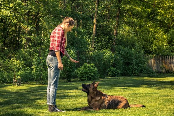ducateur canin