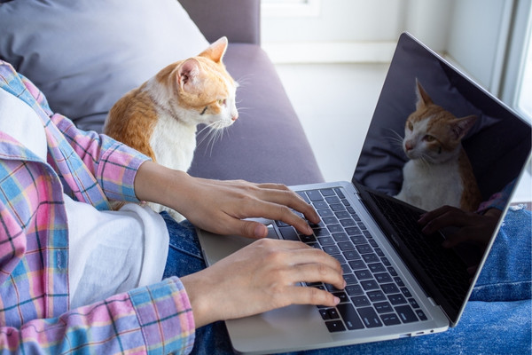 mtier en rapport avec les animaux domestiques