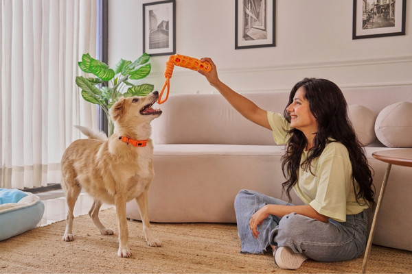 mtiers avec les animaux domestiques